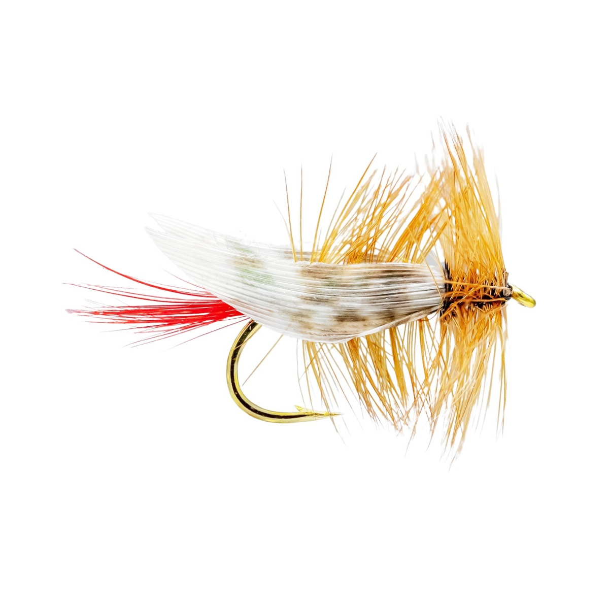 Mouches Neptune Flies - Grasshopper Dry fly