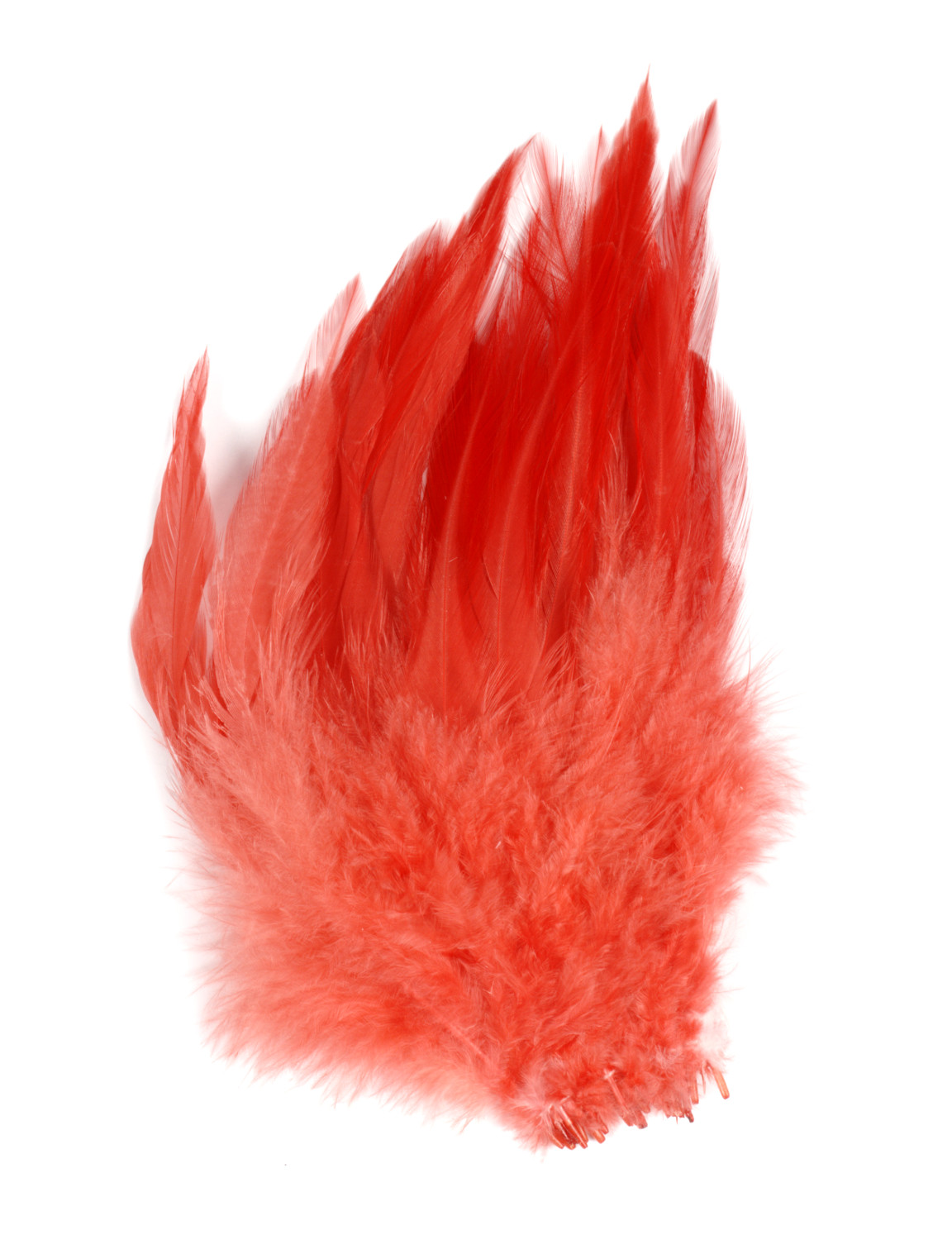 SHOR Fishing - Hackle de selle 6-8"