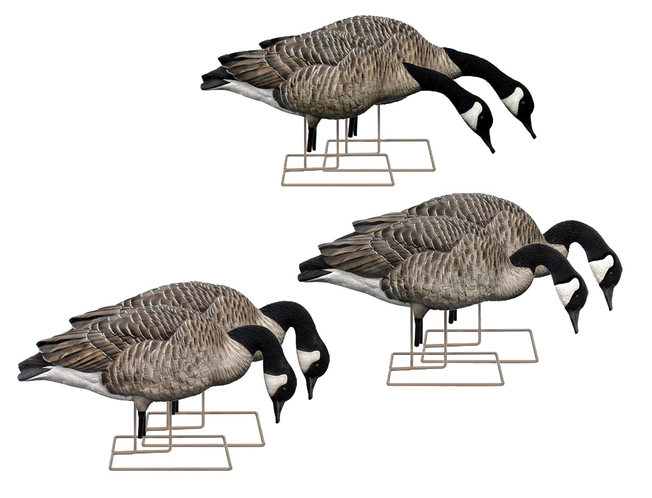 Avian X - Appelants à bernaches du Canada AXP Honker Feeders