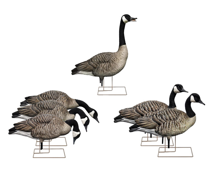 Avian X - Appelants à bernaches du Canada AXP Fusion Honker
