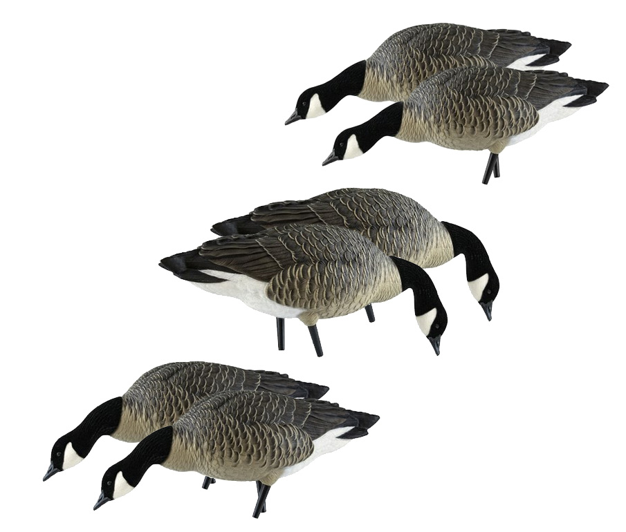 Avian X - AXP Lesser Feeder Goose Decoys