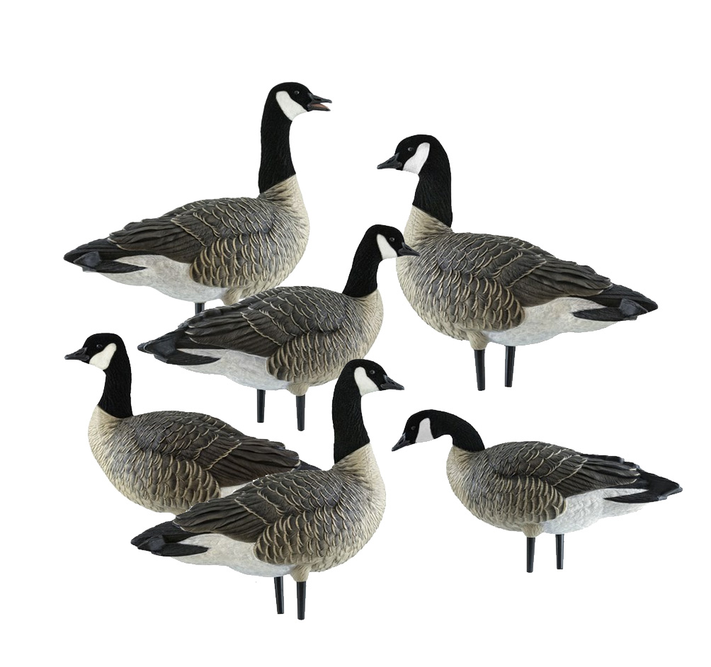 Avian X - Appelants à bernaches du Canada AXP Lesser Active Goose