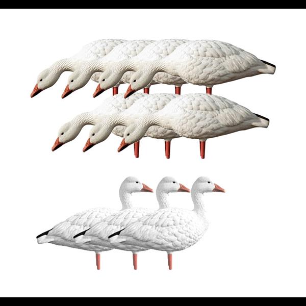 Avian X - Appelants de Grande Oies des neiges Adult Snow Goose