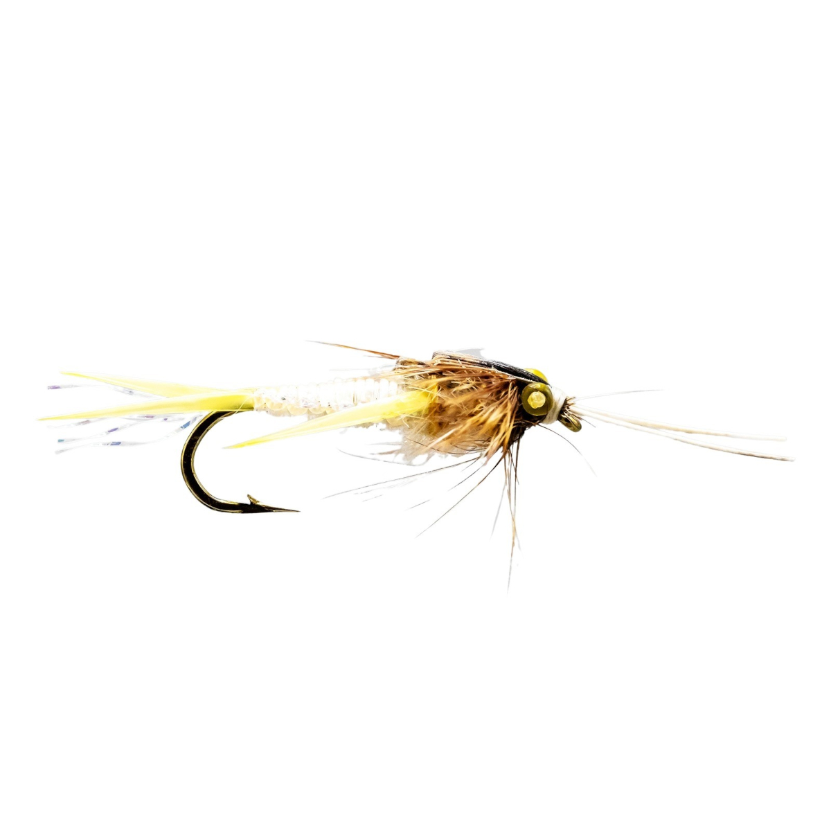 Mouches Neptune Flies - Braided Stone Fly Nymph