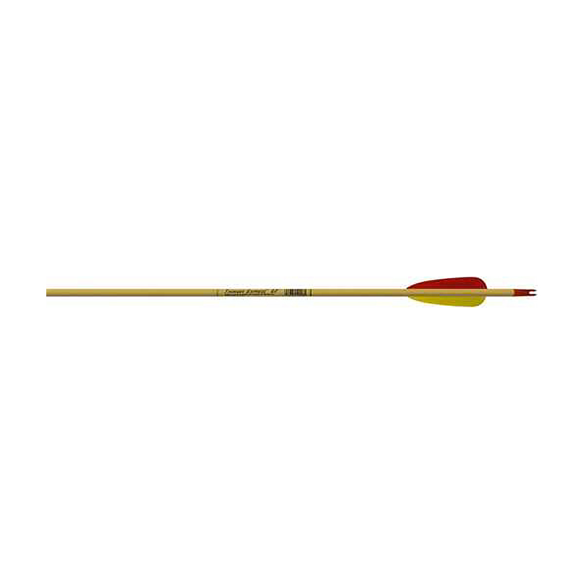 Carbon Express - Thunder Express 27" Arrow