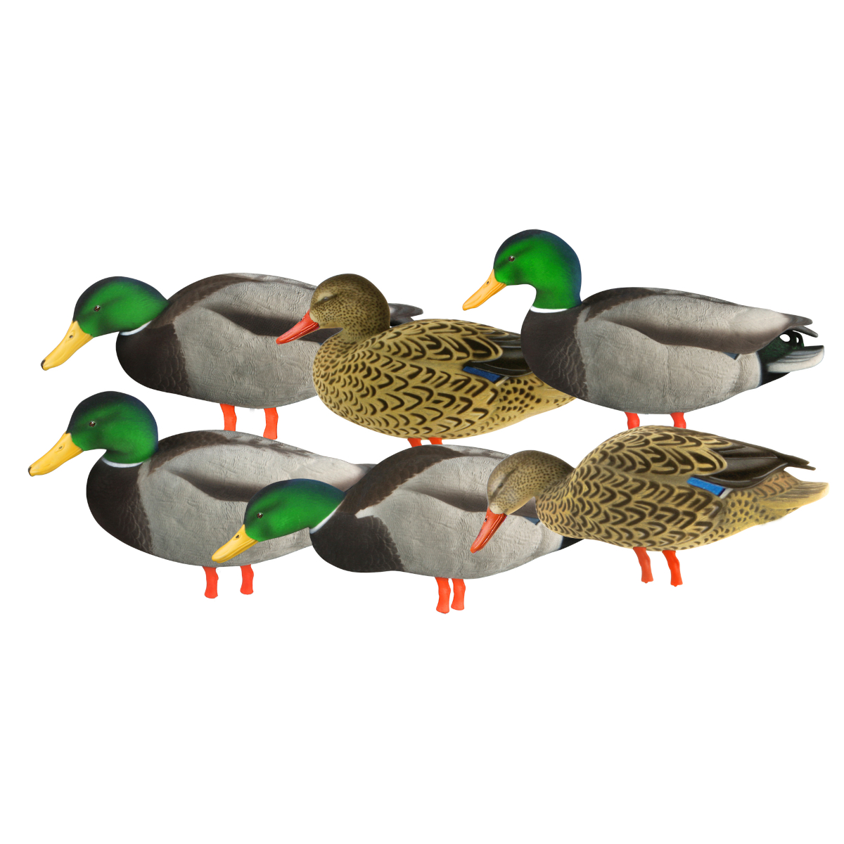 GHG Decoys - FFD Elite Fullbody Mallard Harvester