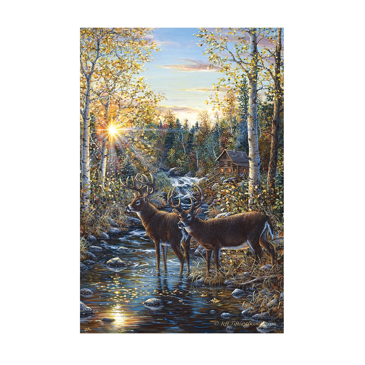 Rivers Edge Products - Whitetail Deer 16" x 12" LED Canvas