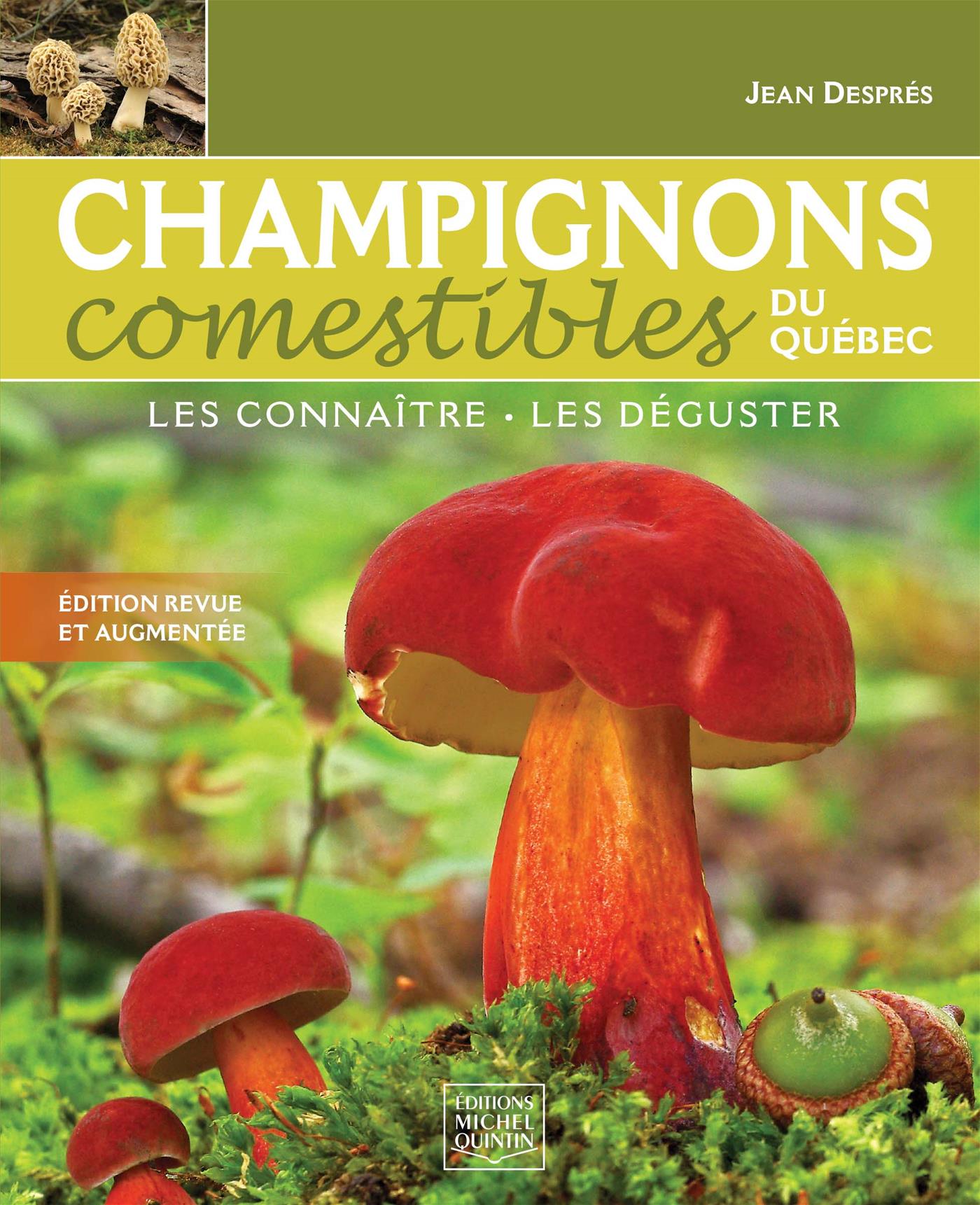 Éditions Michel Quintin - Livre Champignons comestibles du Québec