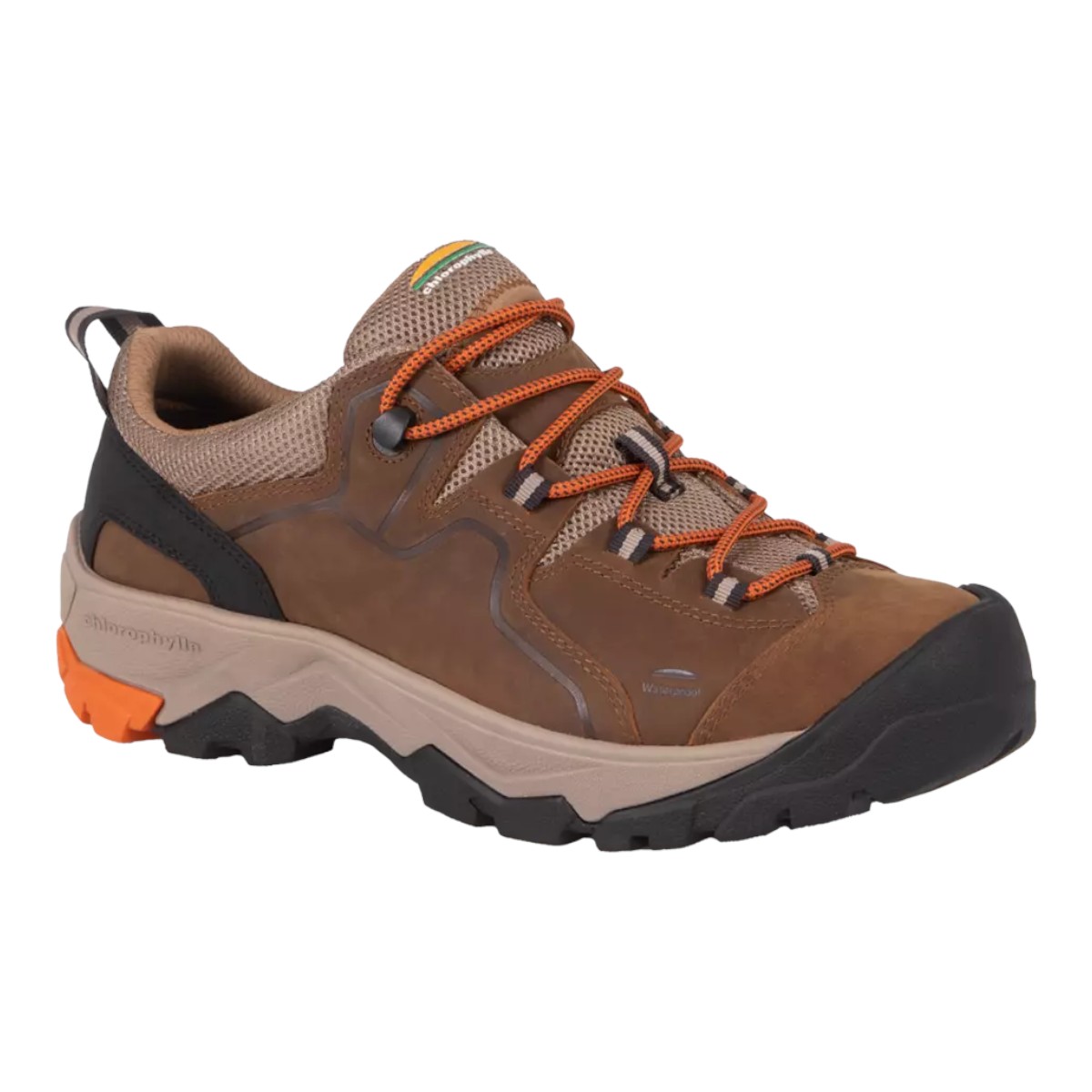 Chlorophylle - Men's Albali Shoes