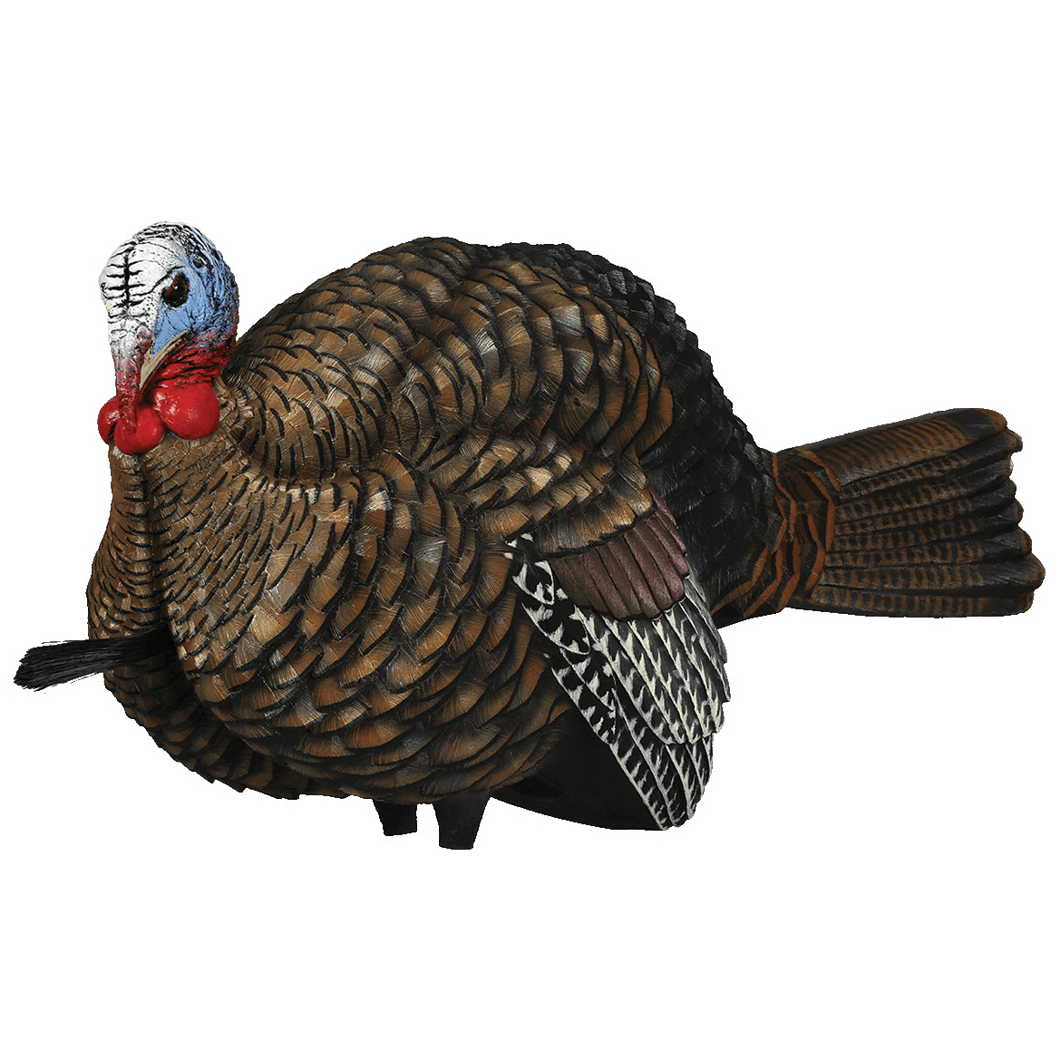 Avian X - LCD Half-Strut Jake Turkey Decoy