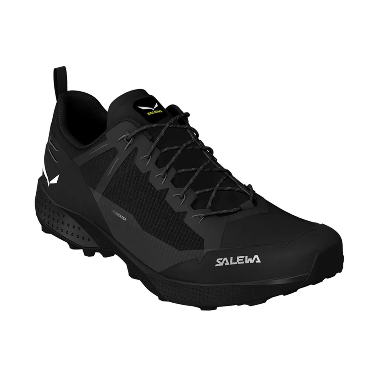 Salewa - Men's Pedroc PTX Waterproof Shoes