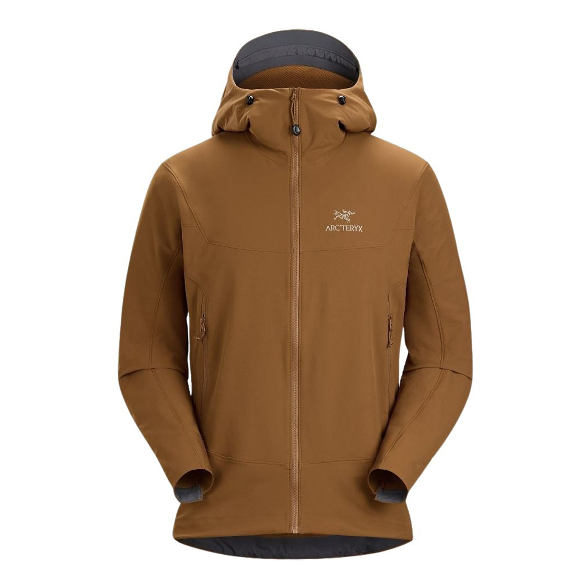 Arcteryx men's gamma hot sale lt hoody