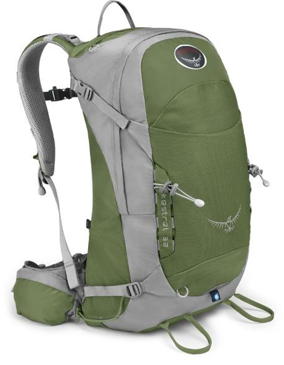 Osprey Kestrel 38 Bonsai Green Trekking Backpacks : Snowleader