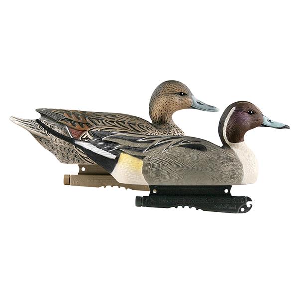 Banded - Appelants canard Hunter Series Life Size Pintails