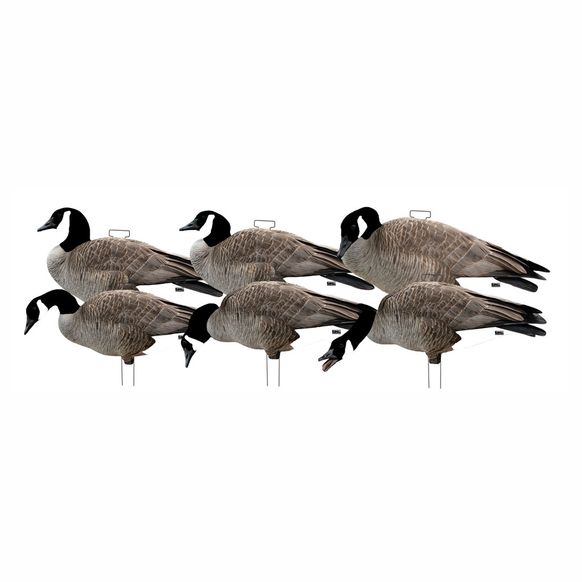 GHG Decoys - Pro-Grade Canada Goose Silhouette Decoys