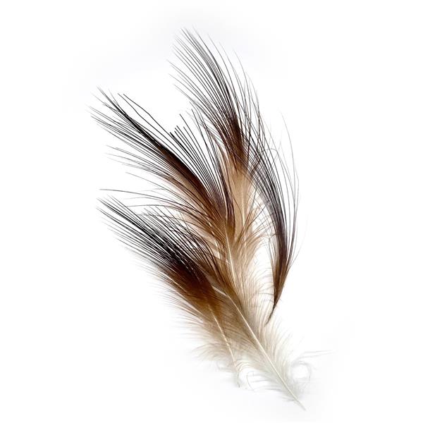 Gaspé Fly - Burnt Heron Feathers