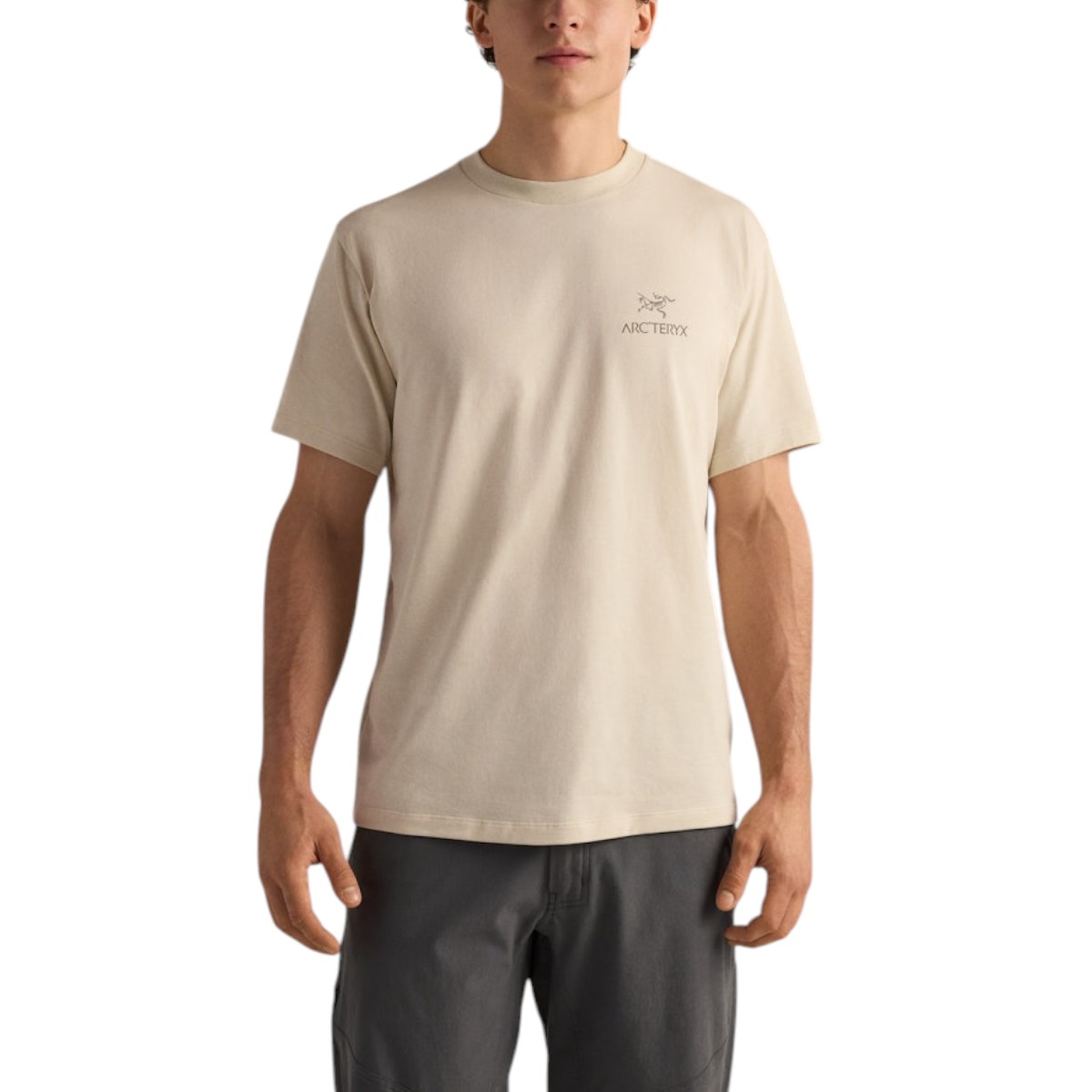 Arc'teryx - T-shirt Kragg SL Bird Word Shirt  pour homme