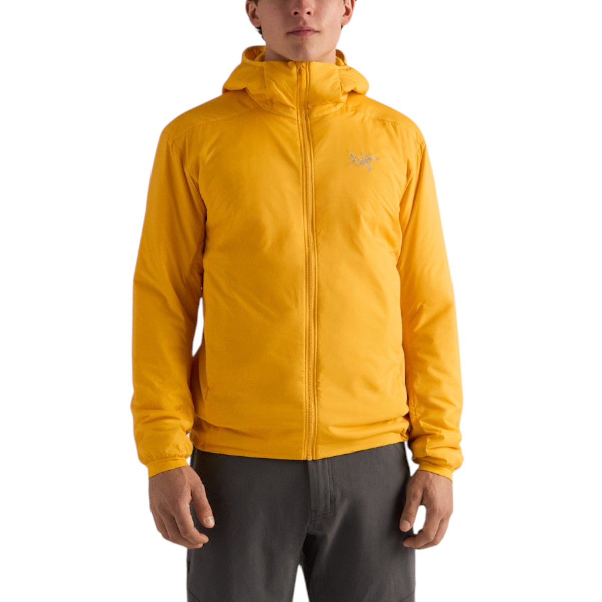 Arc'teryx - Atom Hoodie