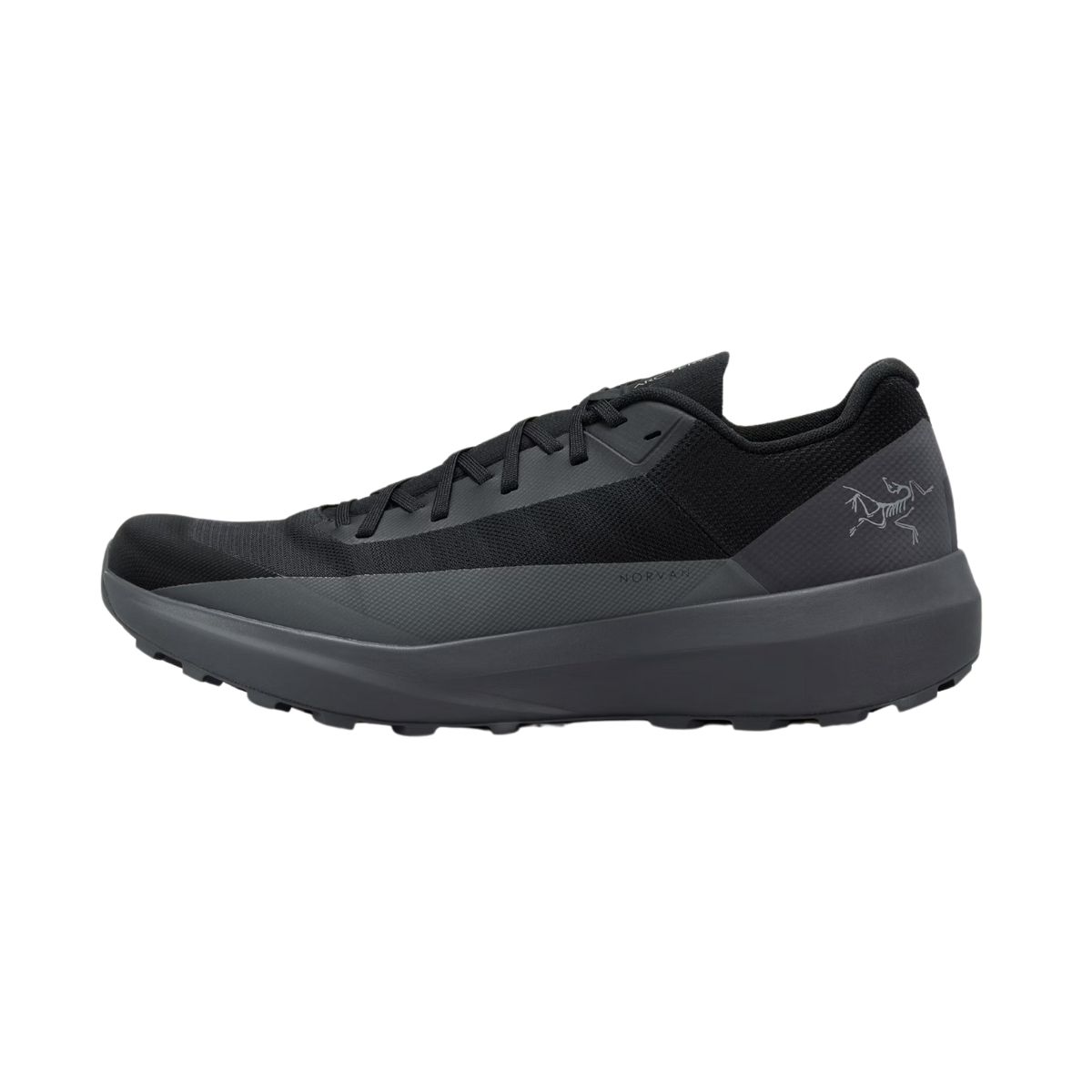 Men's Norvan LD 4 Shoes - Arc'teryx | Latulippe
