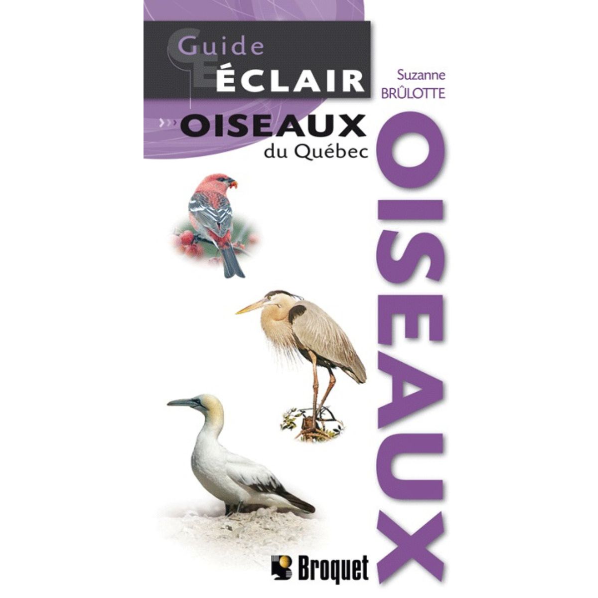 Broquet - Guide Éclair - Oiseaux du Québec