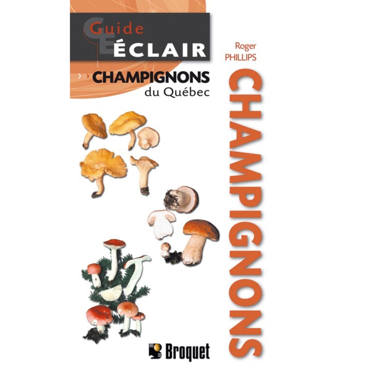 Broquet - Guide Éclair - Champignons du Québec