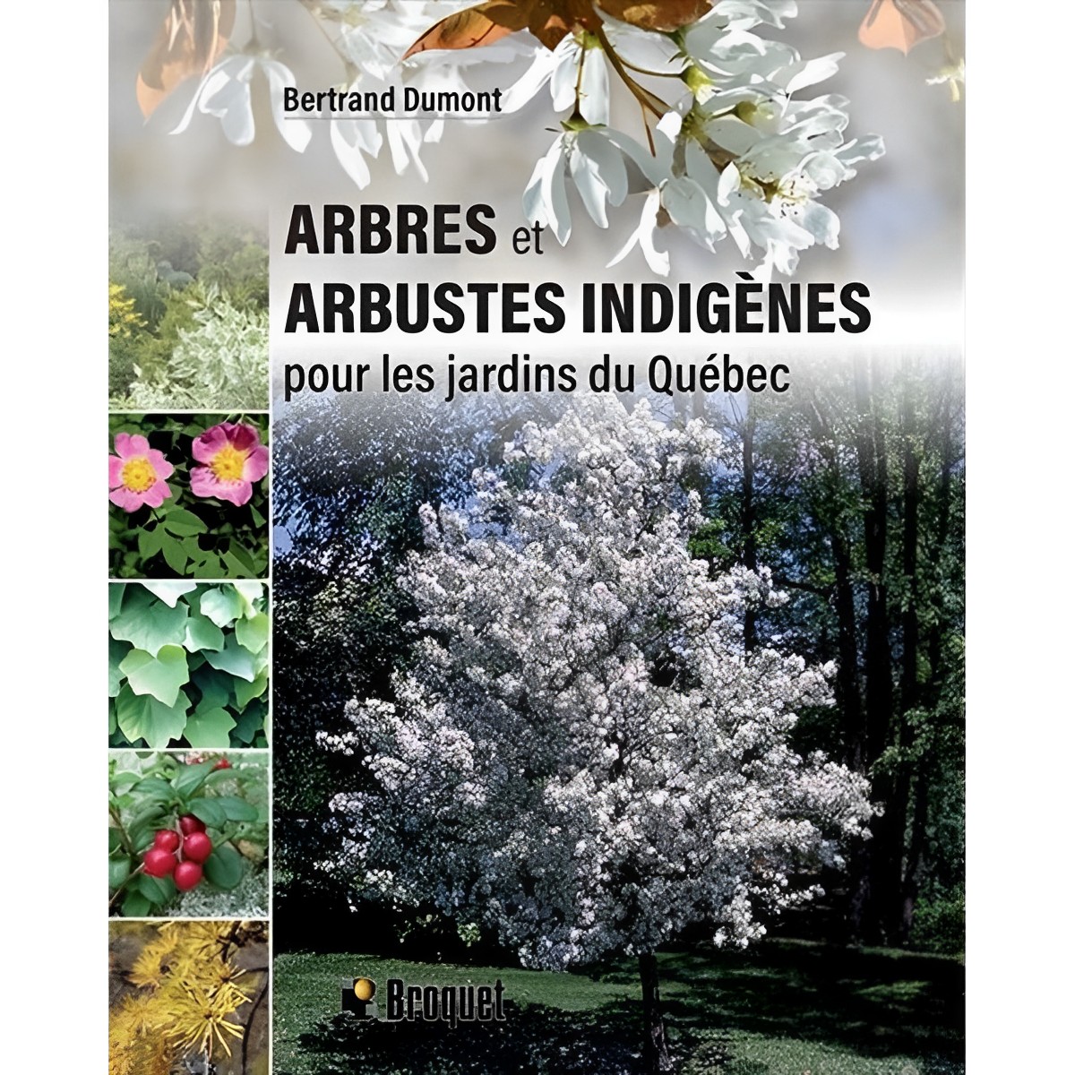 Broquet - Arbres et arbustes indigènes pour les jardins du Québec