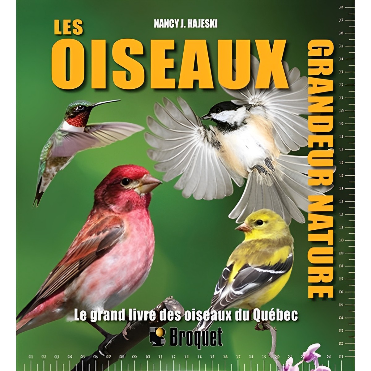 Broquet - Les oiseaux grandeur nature