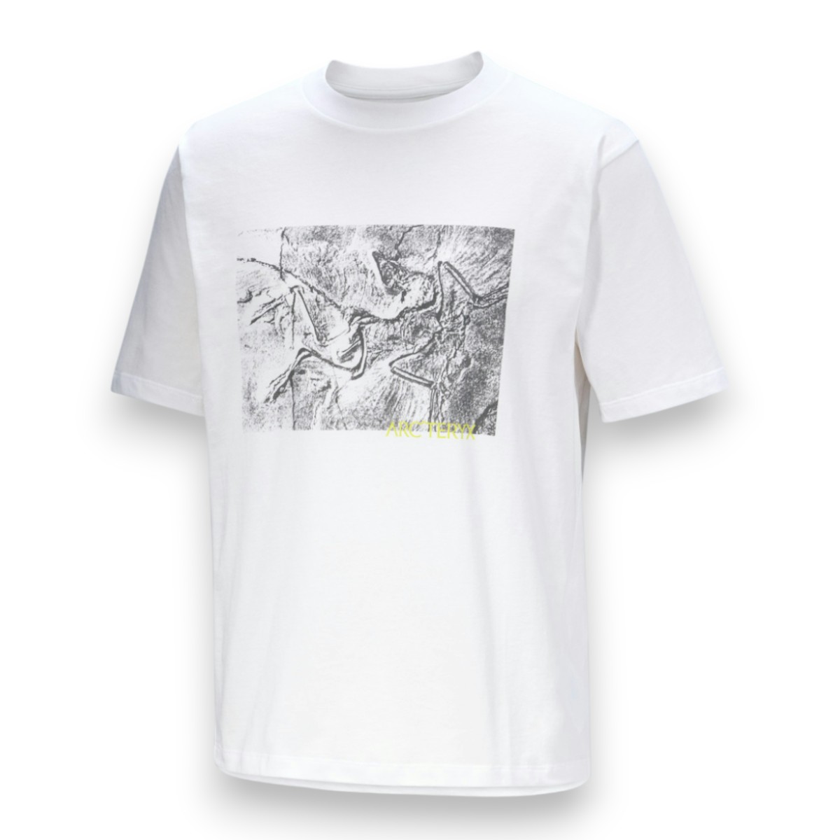 Arc'teryx - T-shirt Kragg en coton lithographique pour homme