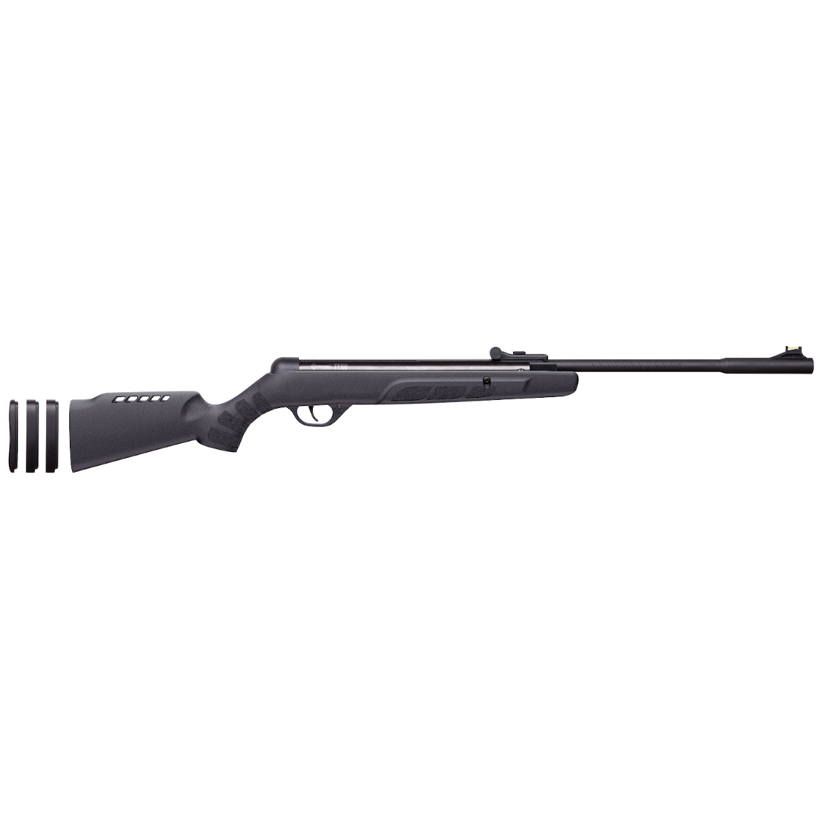 Crosman - Tyro Air Rifle