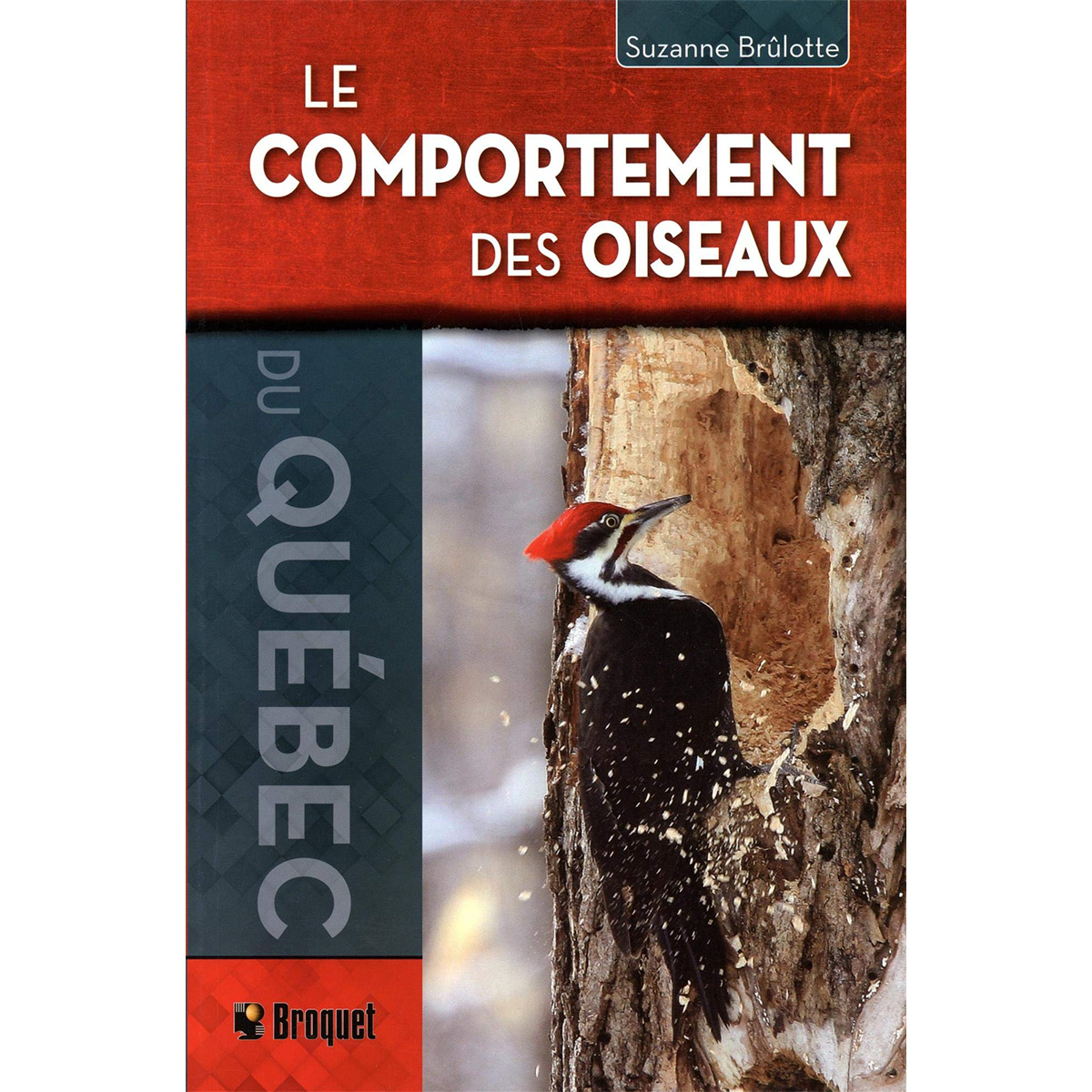 Broquet - Le comportement des oiseaux du Québec