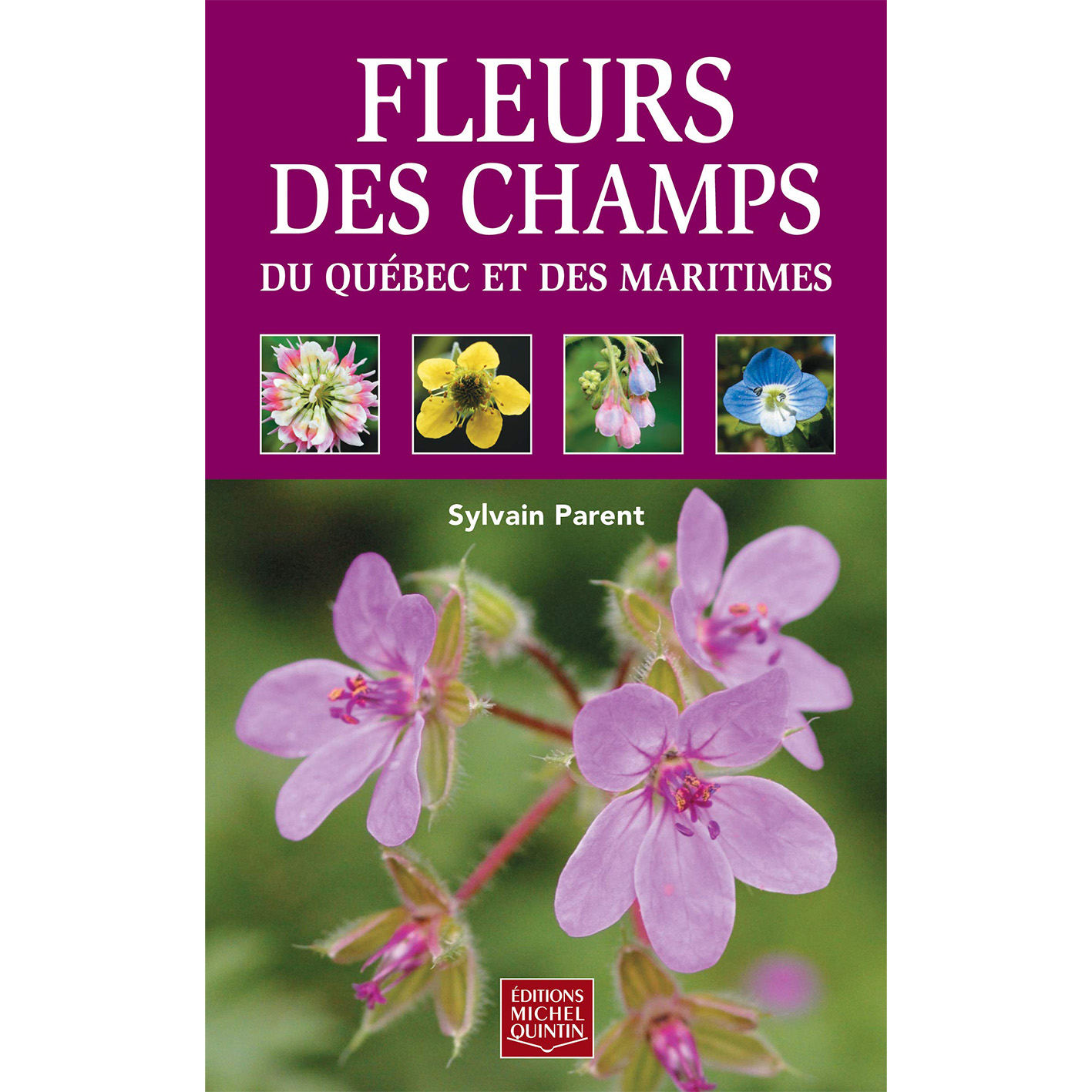 Michel Quintin - Fleurs des champs du Québec et des maritimes