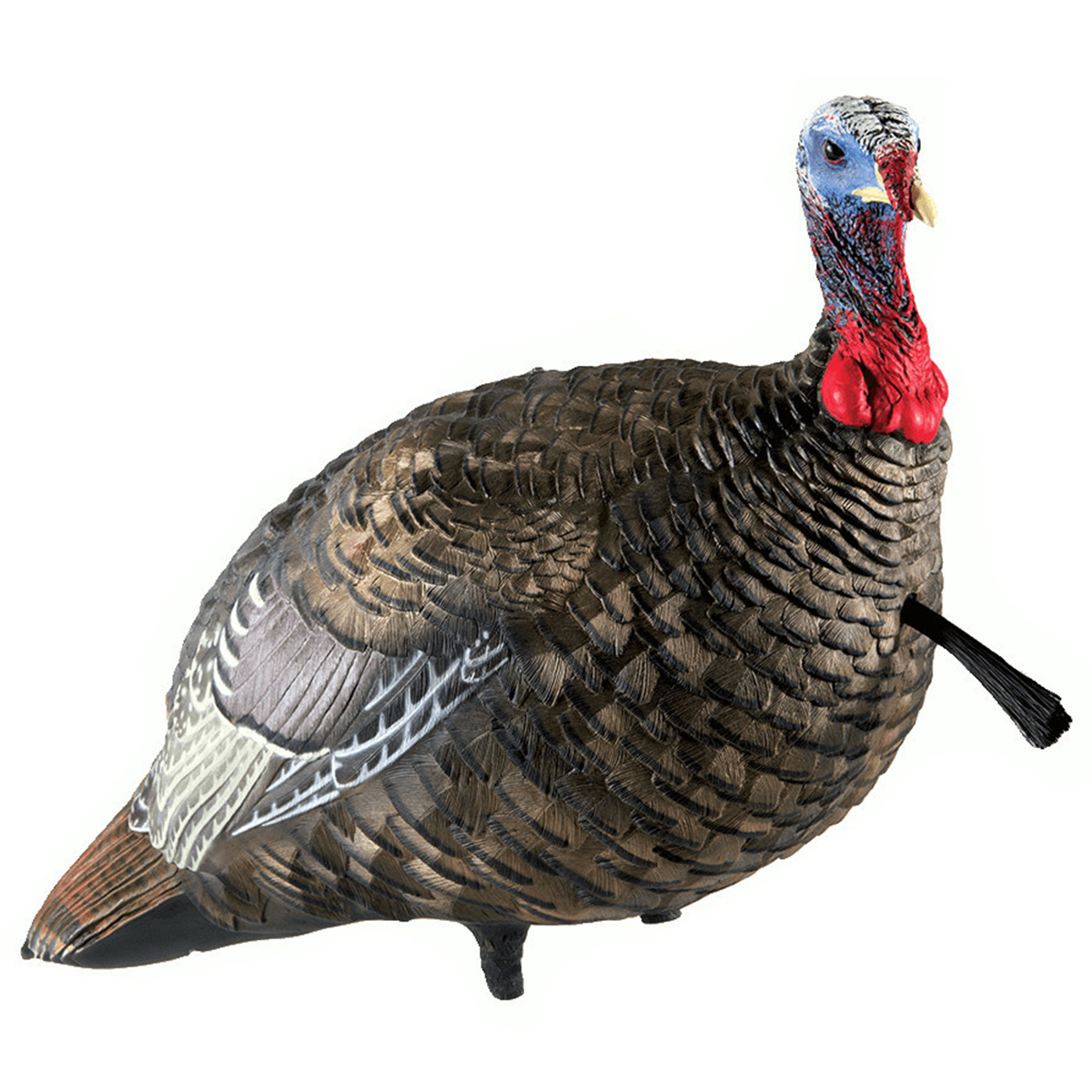 Avian X - LCD Quarter-Strut Jake Turkey Decoy