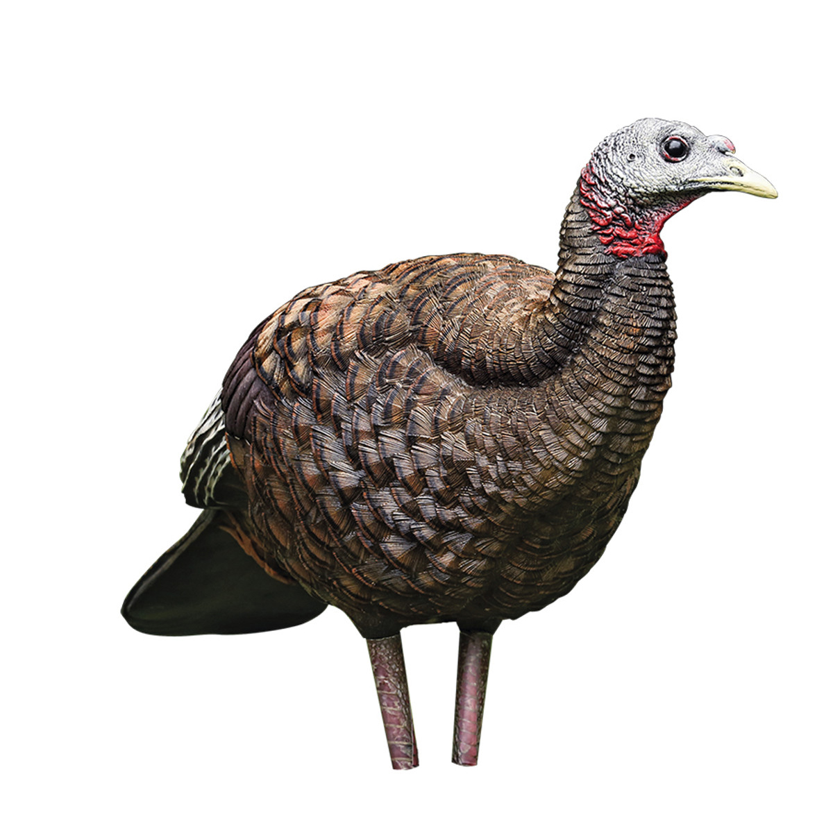 Avian X - LCD Breeder Hen Turkey Decoy