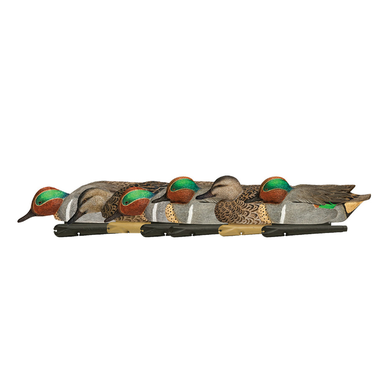 Avian X - Topflight Green-Winged Teal