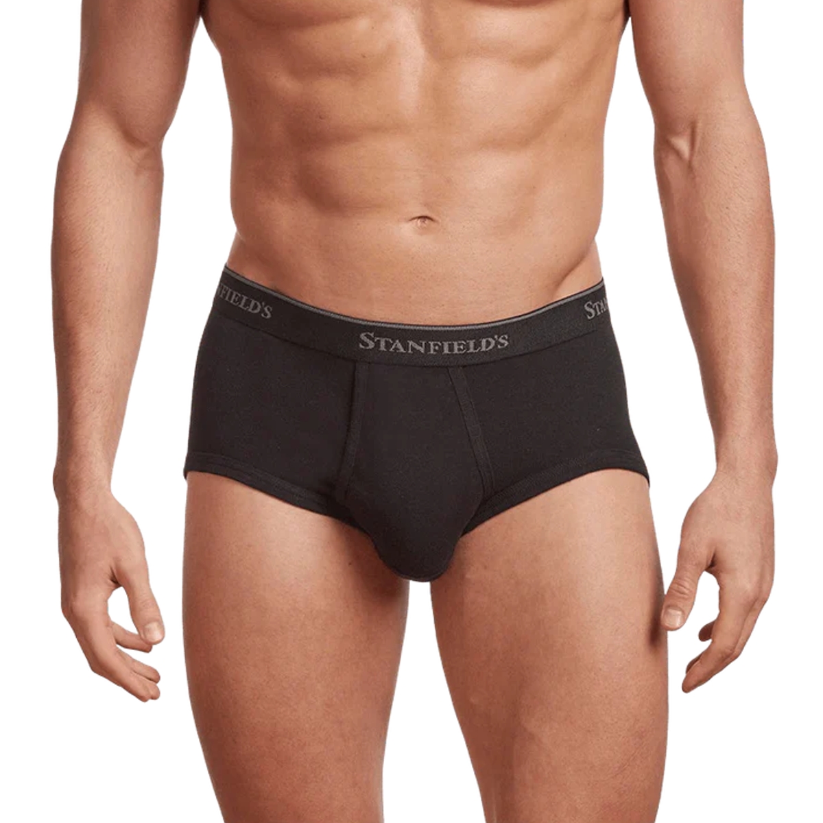 Stanfield's - Men's Premium Brief - Pack of 3