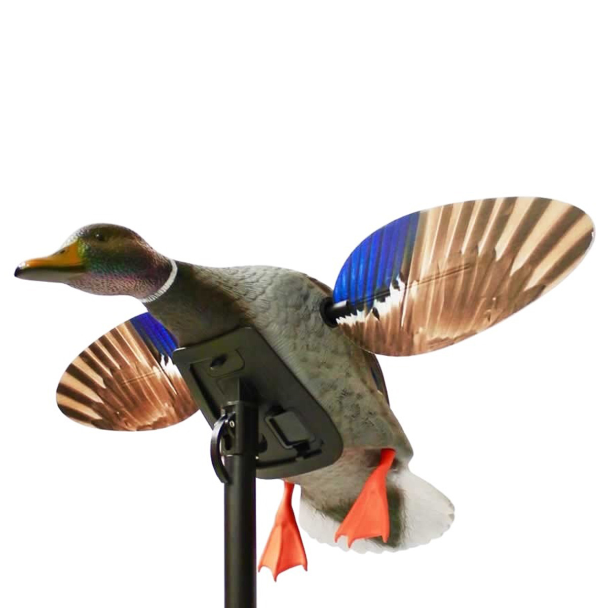 Mojo Outdoors - Mini Mallard Drake Decoy