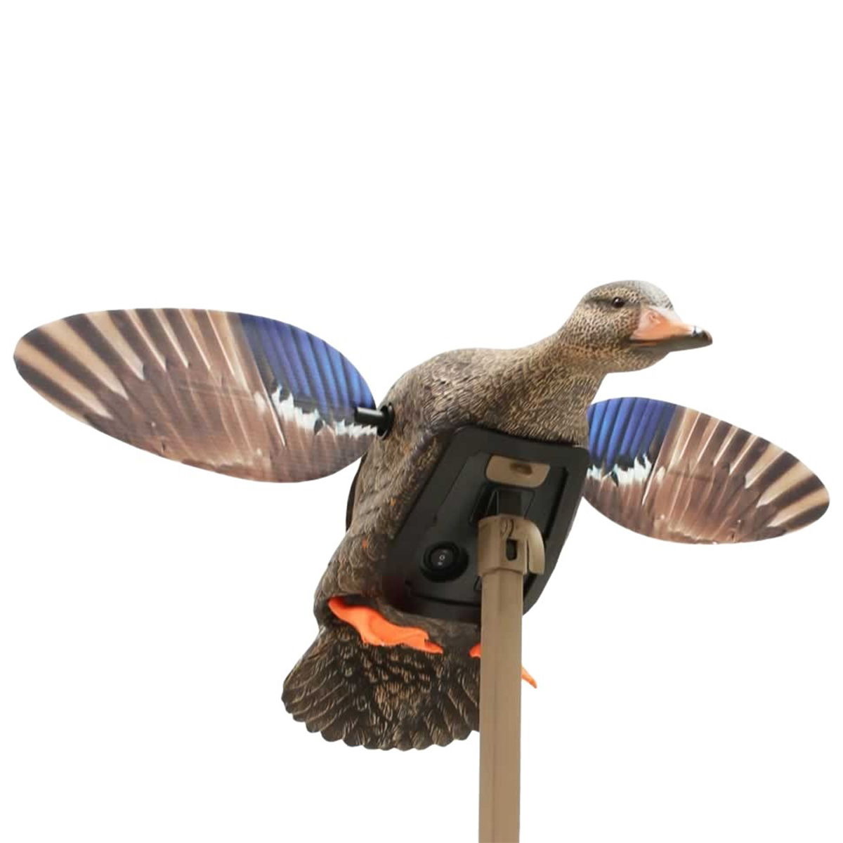 Mojo Outdoors - Mini Mallard Hen Decoy