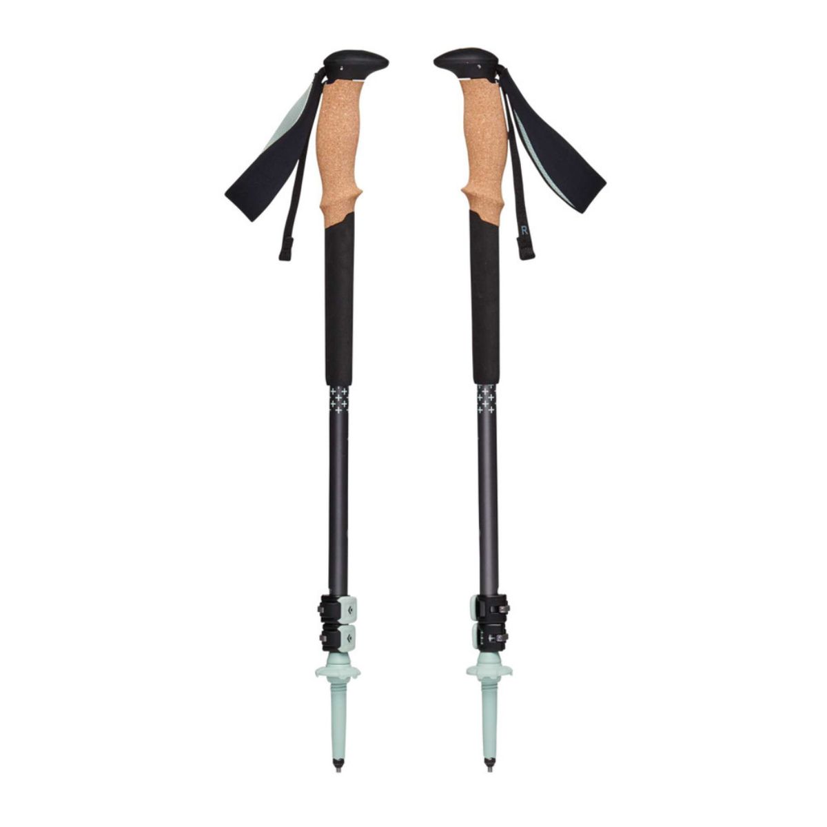 Snowshoes and walking poles - Canada | Latulippe