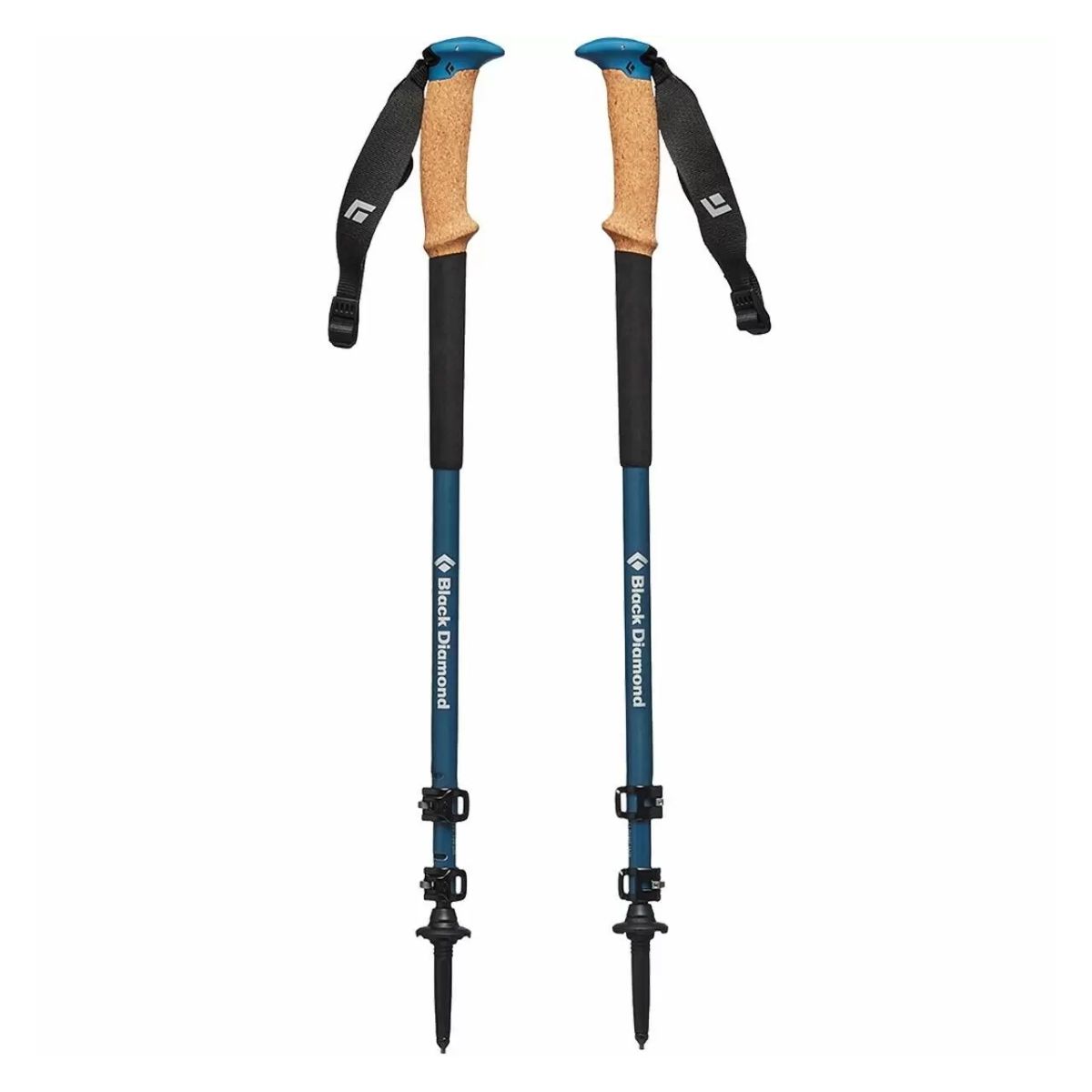 Cork 2024 trekking poles