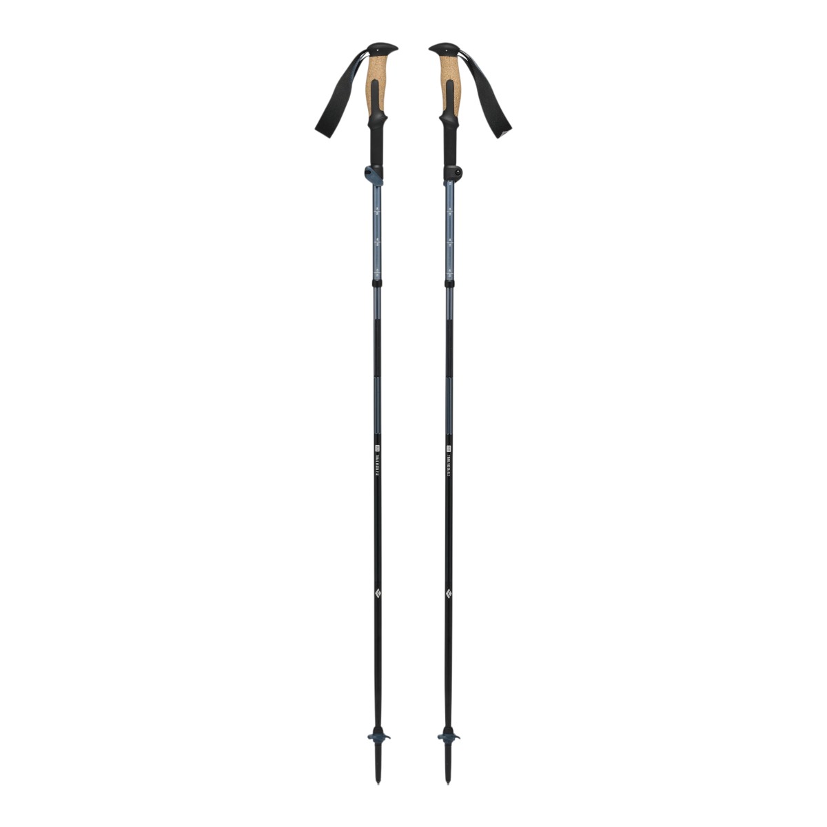 Black Diamond Equipment - Trail Vista FLZ Trekking Poles