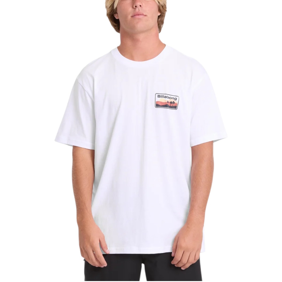 Billabong - T-shirt Adiv Range Premium pour homme