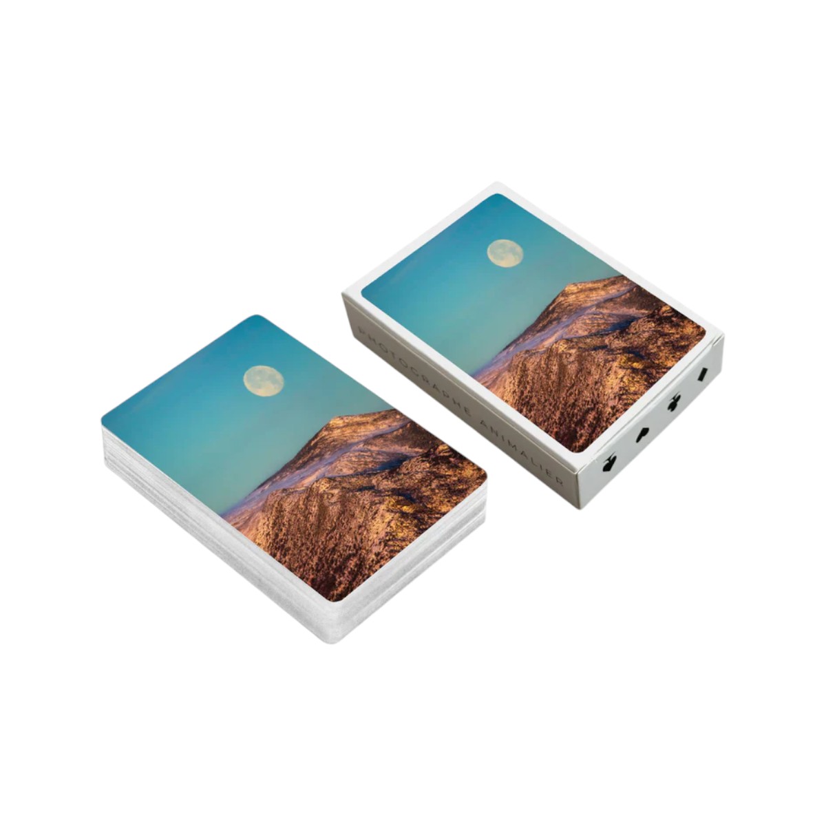 Jean-Simon Bégin - Playing Cards