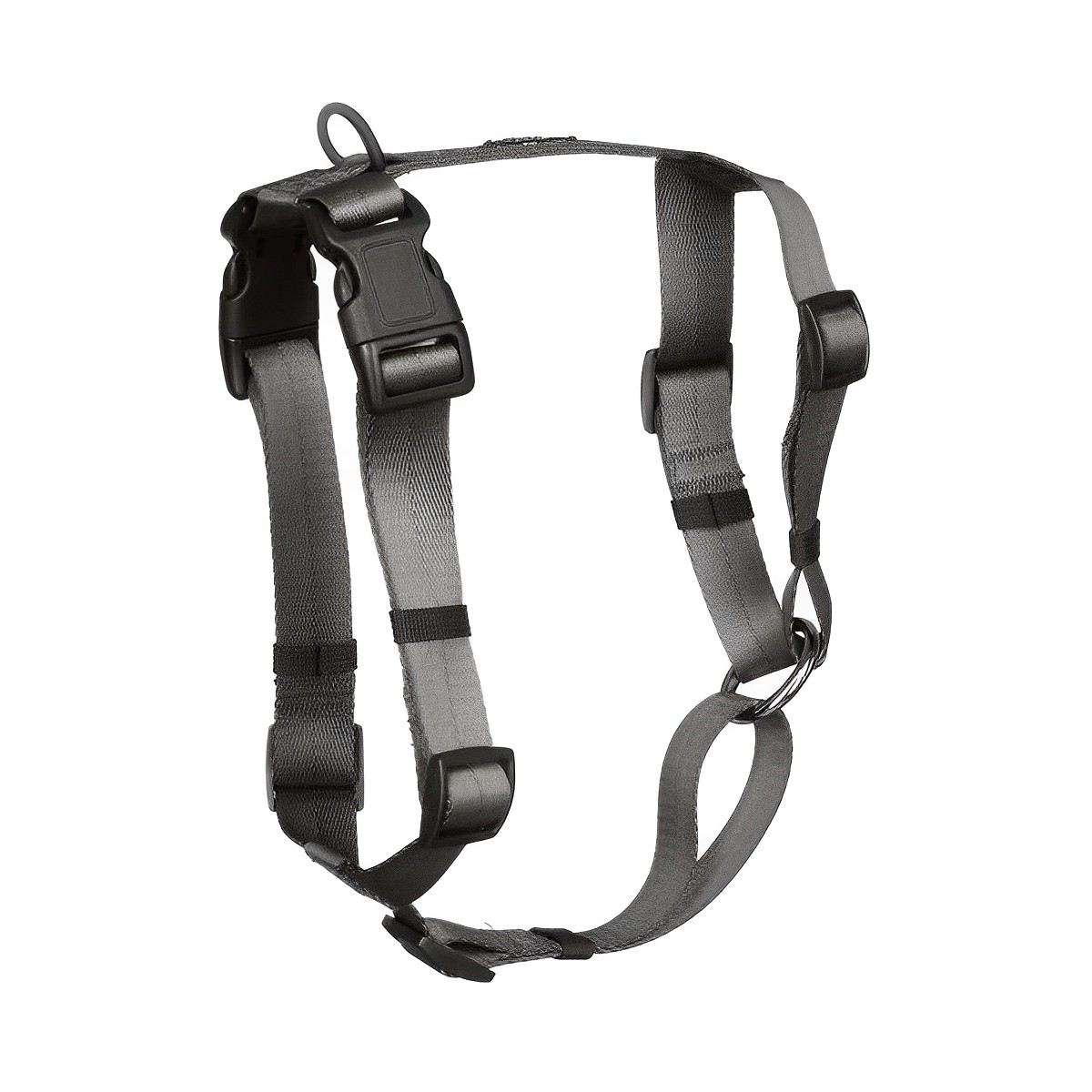 Canadian Canine - Anchor Dog Harness