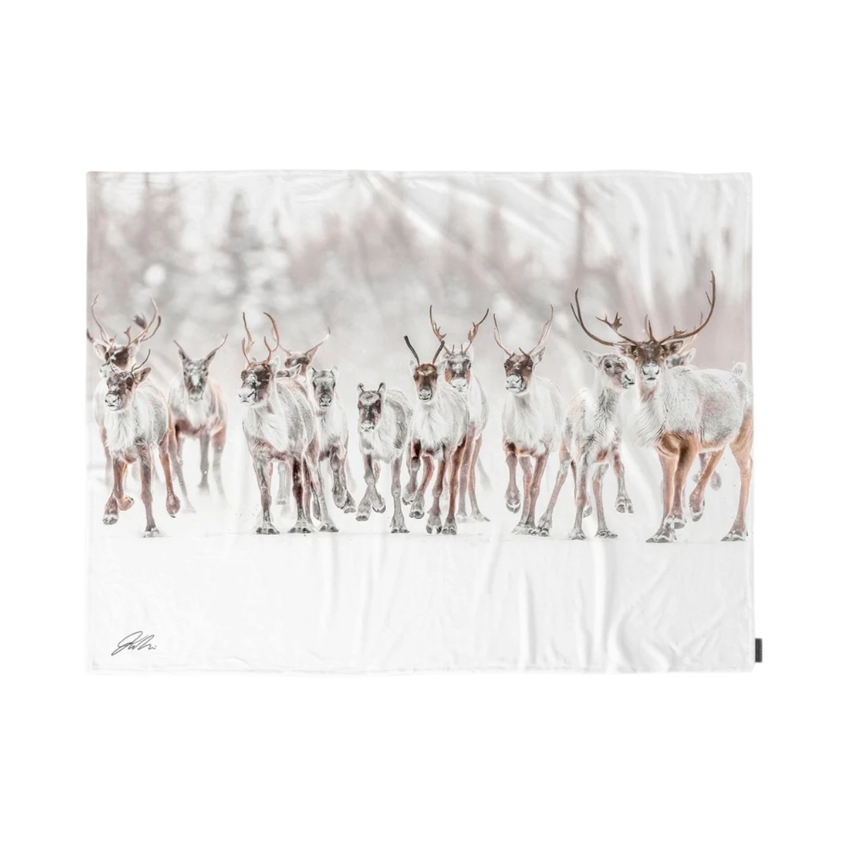 Jean-Simon Bégin - Wildlife Fleece Blanket