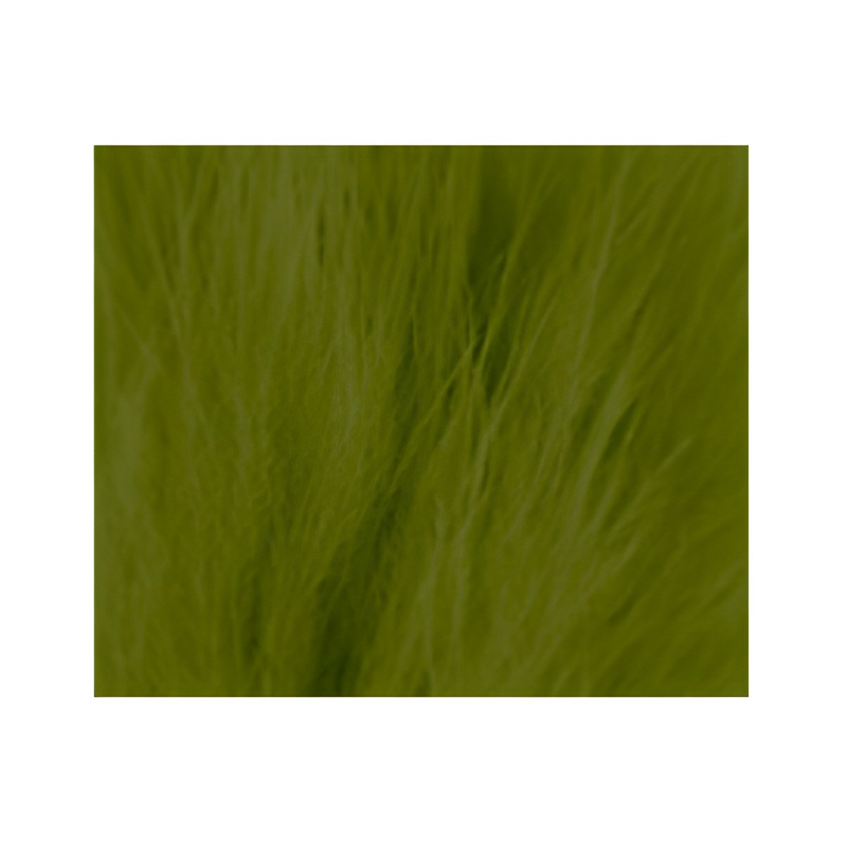SHOR Fishing - Dyed Deer Body Hair