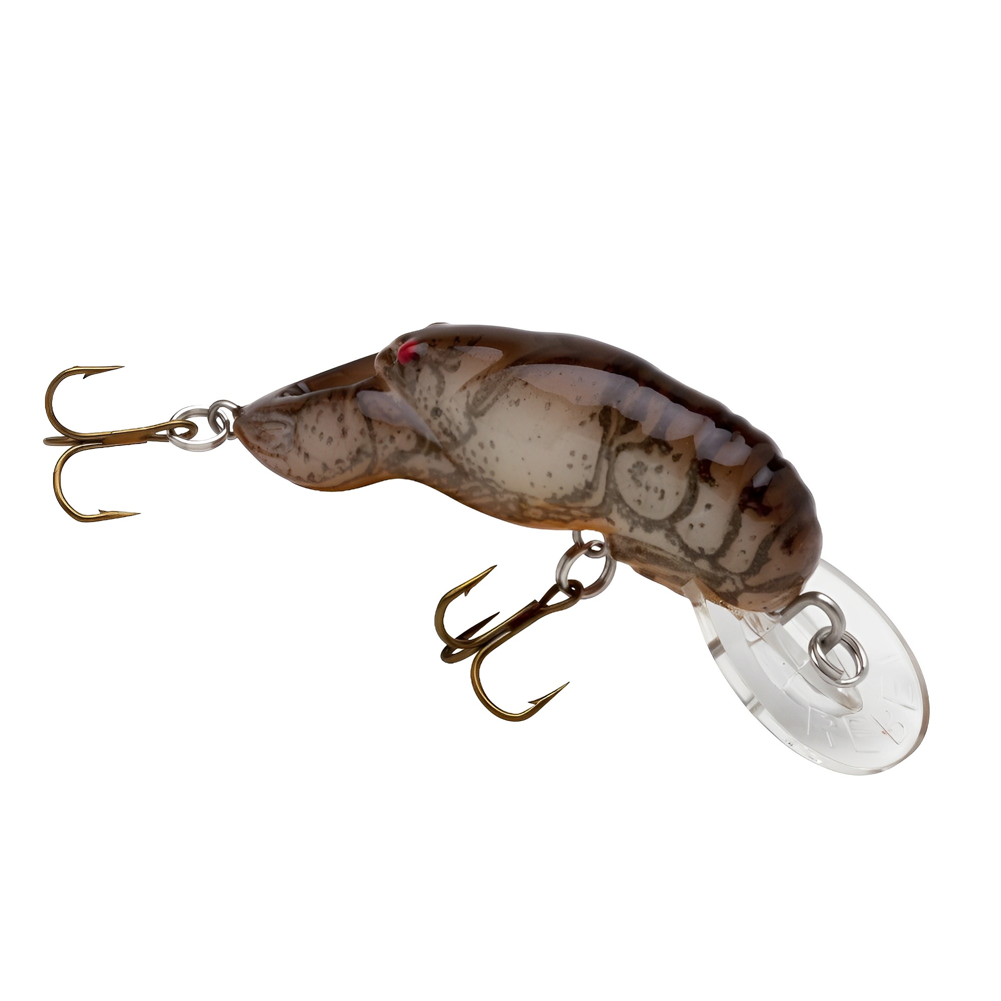 Rebel - Poisson nageur Teeny Wee Crawfish - 1,5''