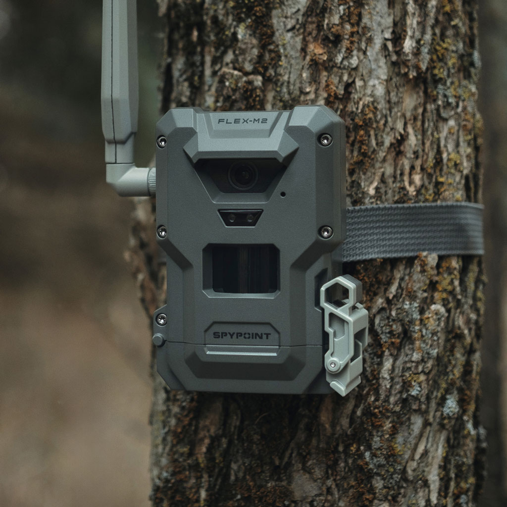 Spypoint - Spypoint Flex-M2 Camera