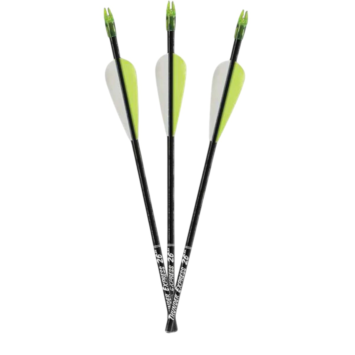 Carbon Express - Thunder Express Arrows