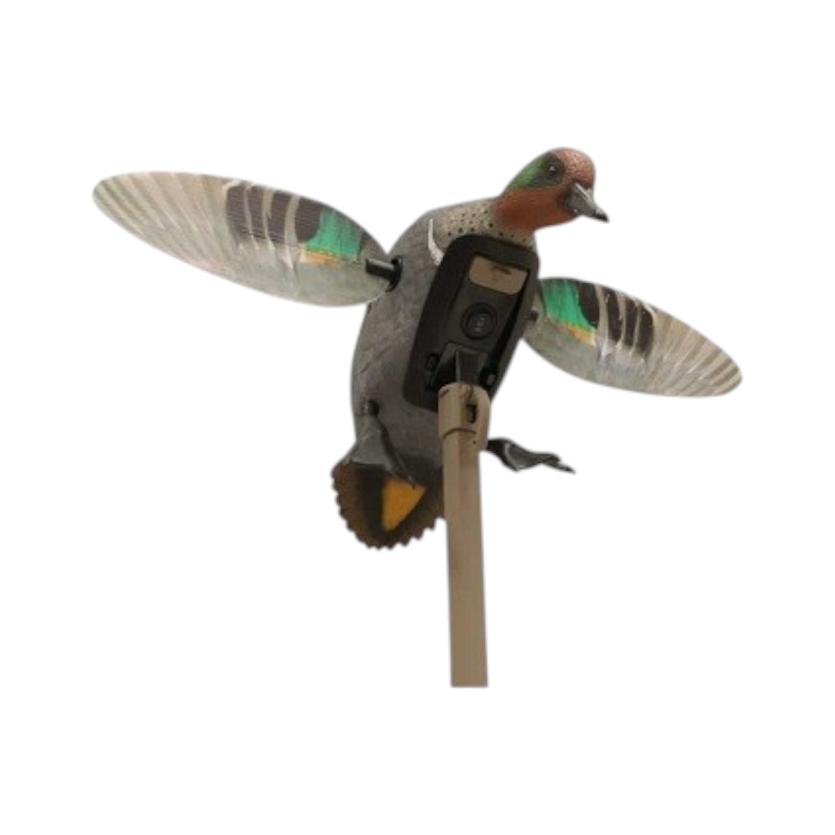 Mojo Outdoors - Elite Series Remote-Ready Green Wing Teal Decoy