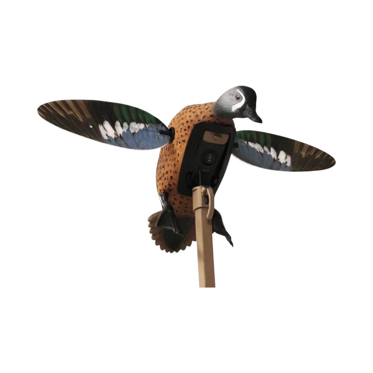 Mojo Outdoors - Elite Series™ Remote-Ready Blue Wing Teal Decoy